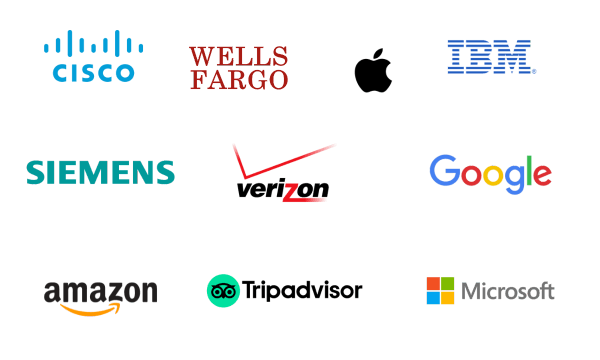 Solutions Agile Business Executive companies: IBM, Cisco Systems, Amazon, Tripadvisor, Google, Siemens, Apple, Wells Fargo, Verizon, Microsoft Source: Glassdoor
